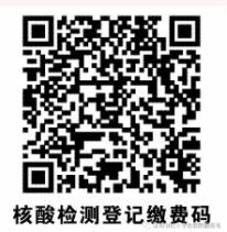 1612499044520044236.jpg